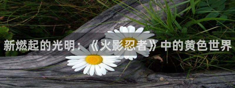 贝勒漫画妄想的边界：新燃起的光明：《火影忍者》中的黄色世界