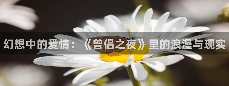 贝勒漫画 漫画：幻想中的爱情：《曾侣之夜》里的浪漫与现实