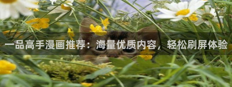 物种起源贝勒漫画：一品高手漫画推荐：海量优质内容，轻松刷屏体验